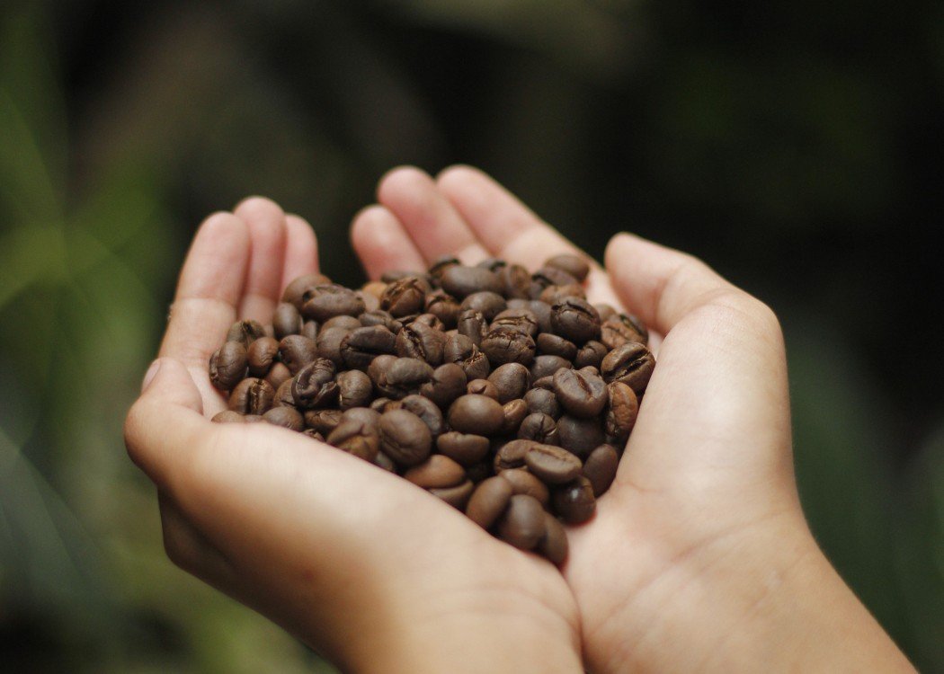 ALFA ASIA GLOBAL - COFFEE 2