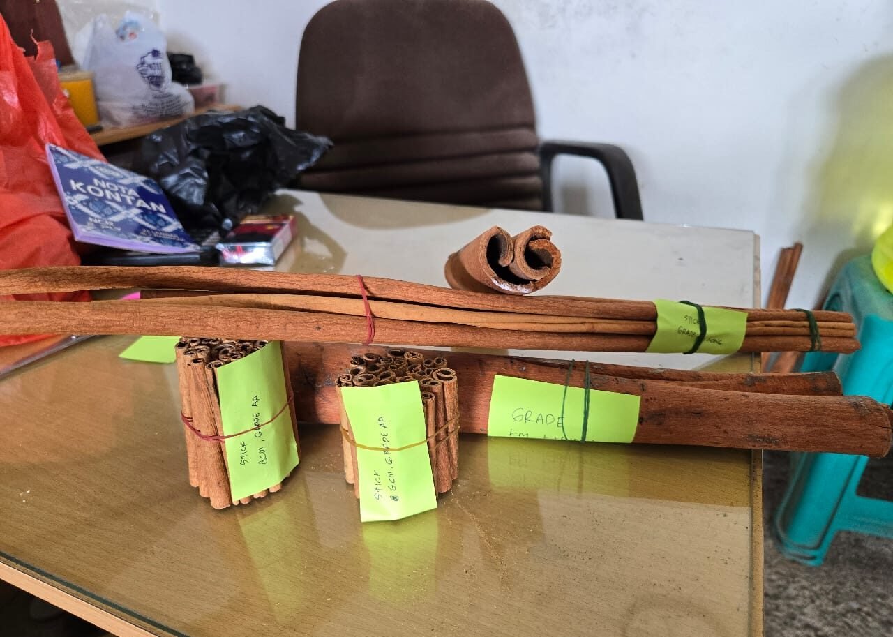 WhatsApp Image 2025-11-14 at 10.17.59 PM